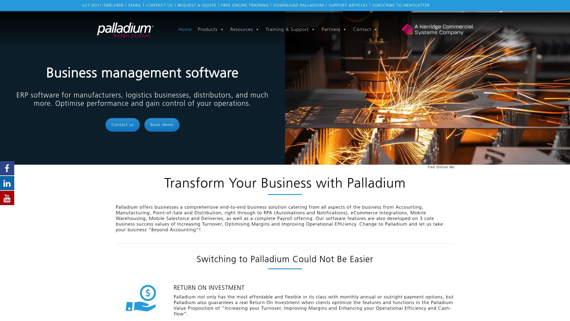 Screenshot of www.palladium.co.za