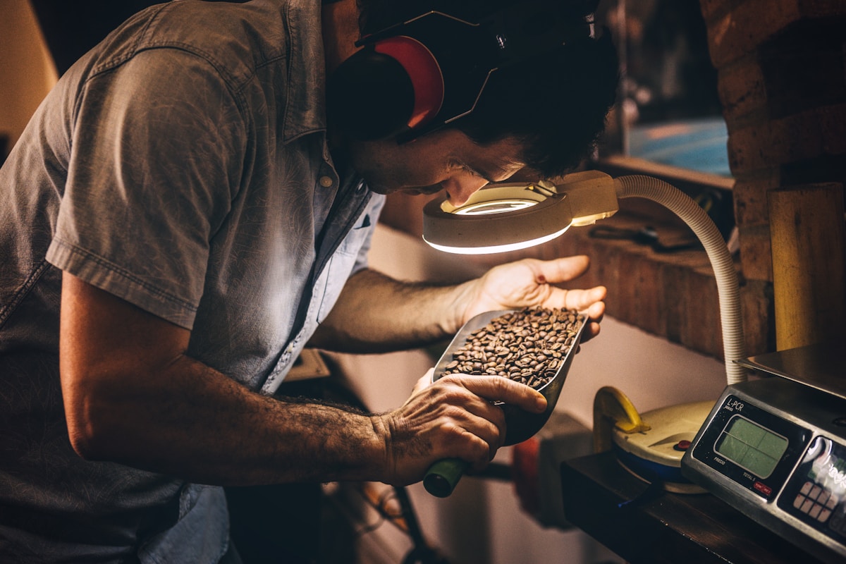 Homme examinant attentivement des grains de café torréfiés sous une lampe.