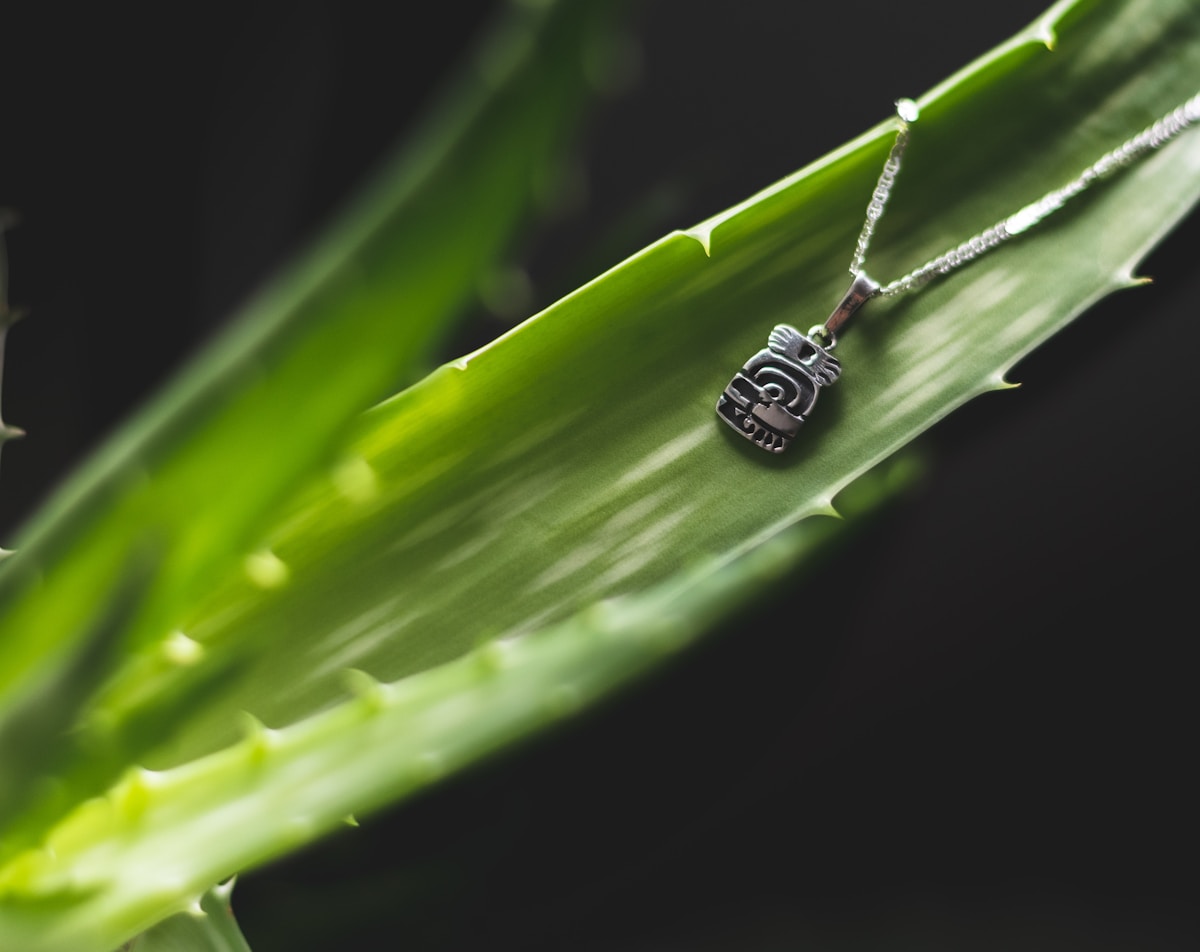 Gros plan sur un pendentif orné de symboles sur une plante verte.