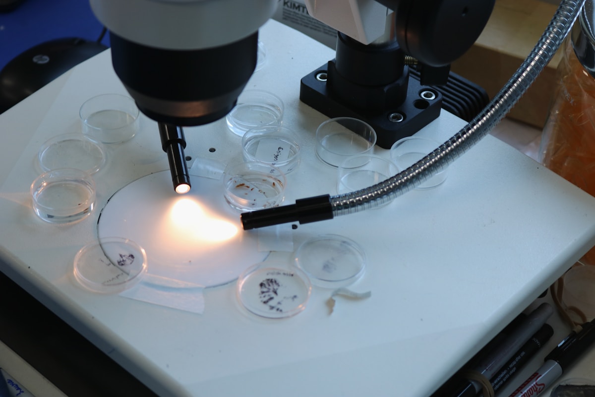 Microscope, verres de laboratoire, éclairage, équipement de recherche scientifique.