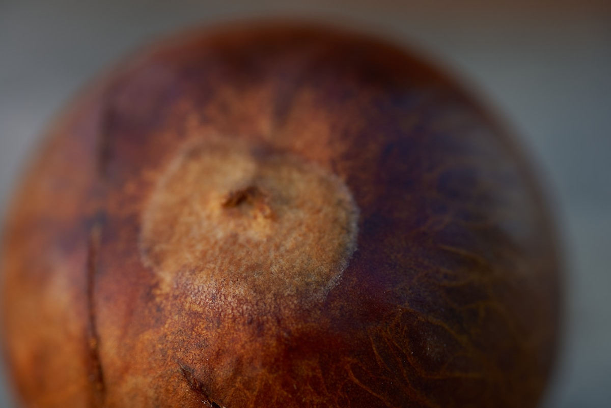 Gros plan d'une surface texturée, avec des nuances de brun et d'orange.